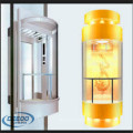 Residential Building Passenger Home Sightseeing Glass Capsule Elevator